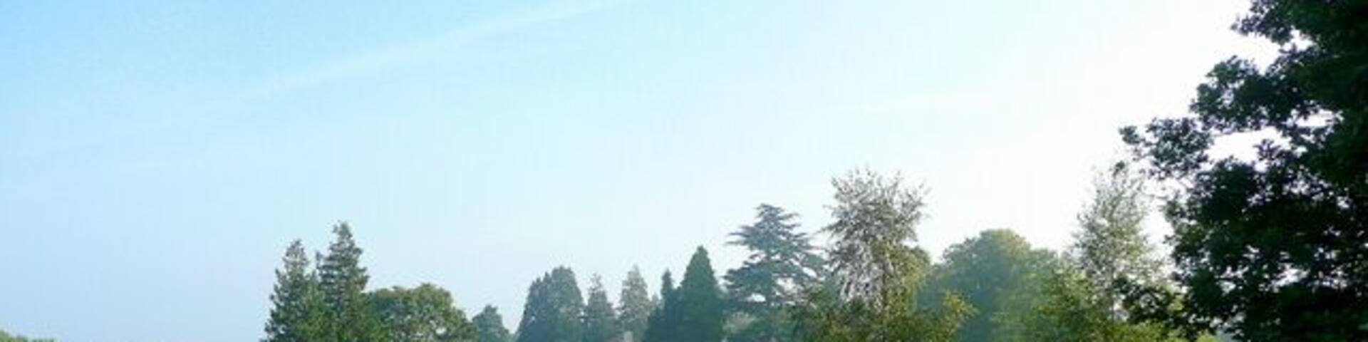 Parkland scene A property on the plateau above Bulls Hill.