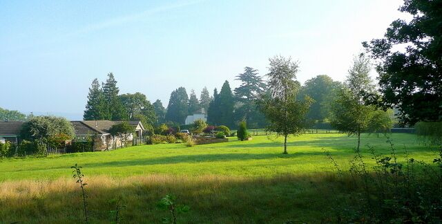 A grassy field with trees and a house in the background.