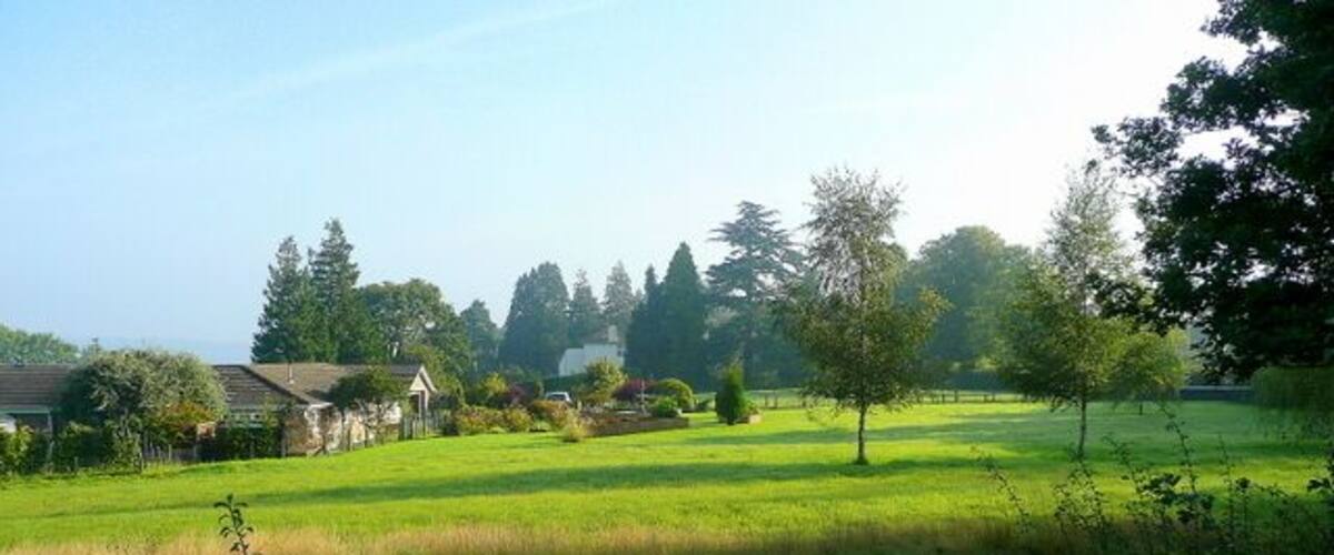 A grassy field with trees and a house in the background.
