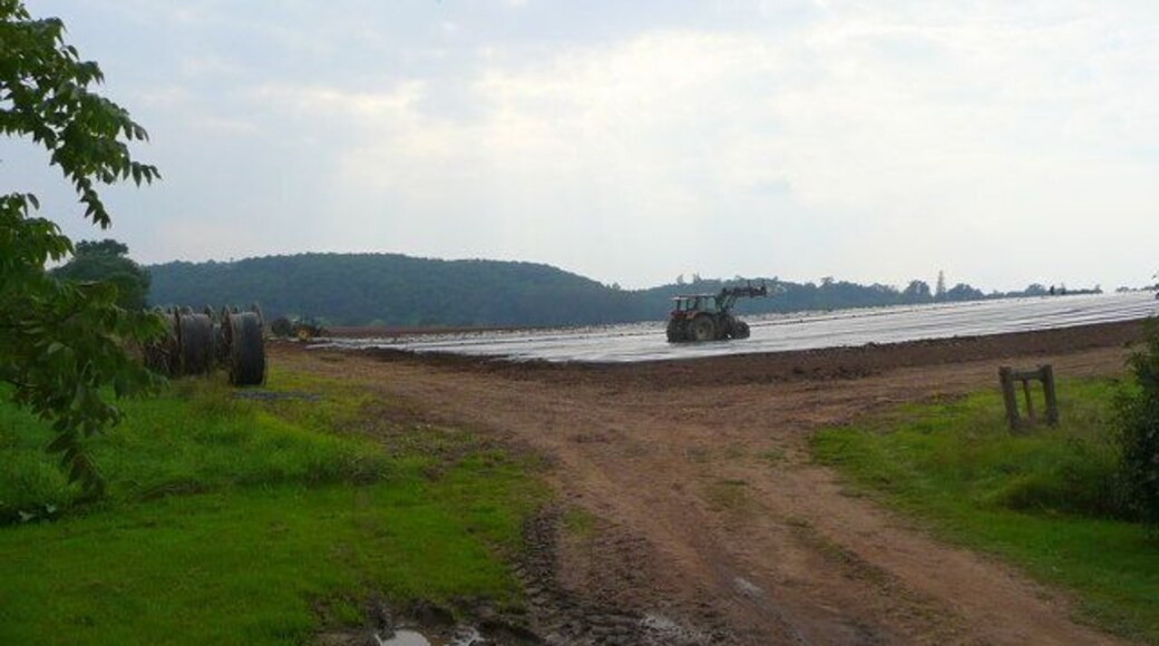 Laying irrigation pipes. A new crop of strawberries being established near Warryfield farm. The plastic mulch suppresses weeds, warms the soil, and keeps the fruit clean.