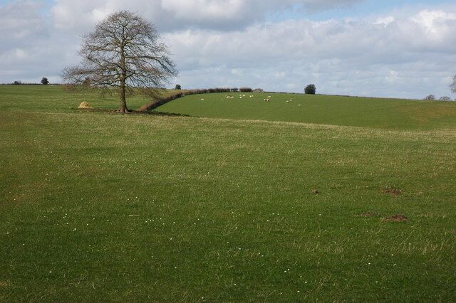 Grazing land above Deep Dean View across grazing land towards Howle Hill from the country road above Deep Dean.