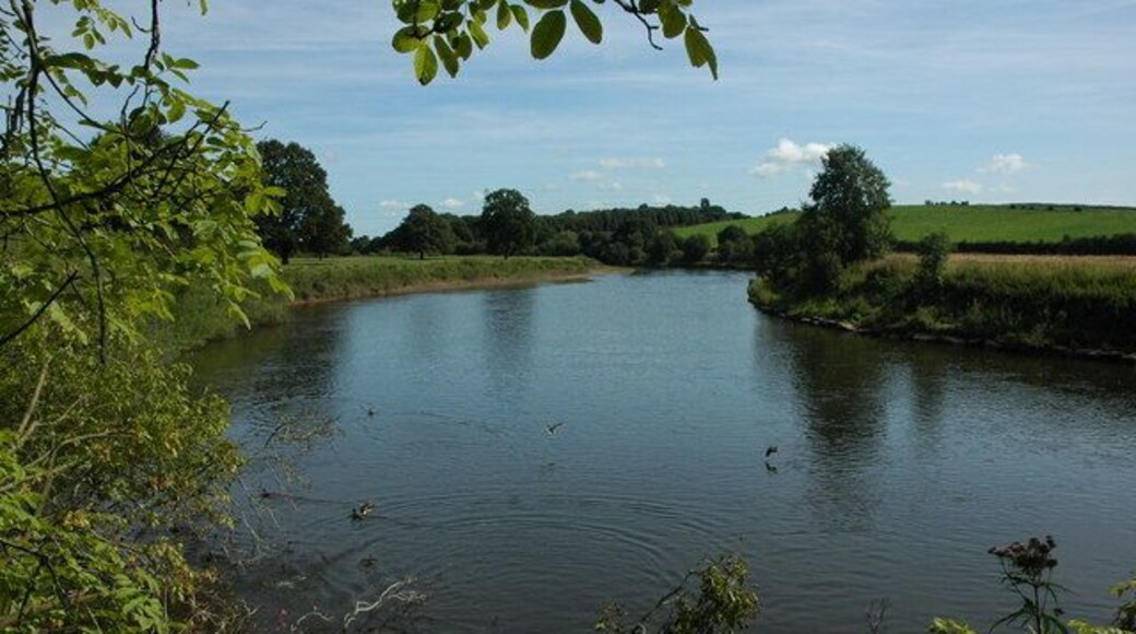 River Wye at Pencraig The River Wye viewed from Pencraig Court Wood.
