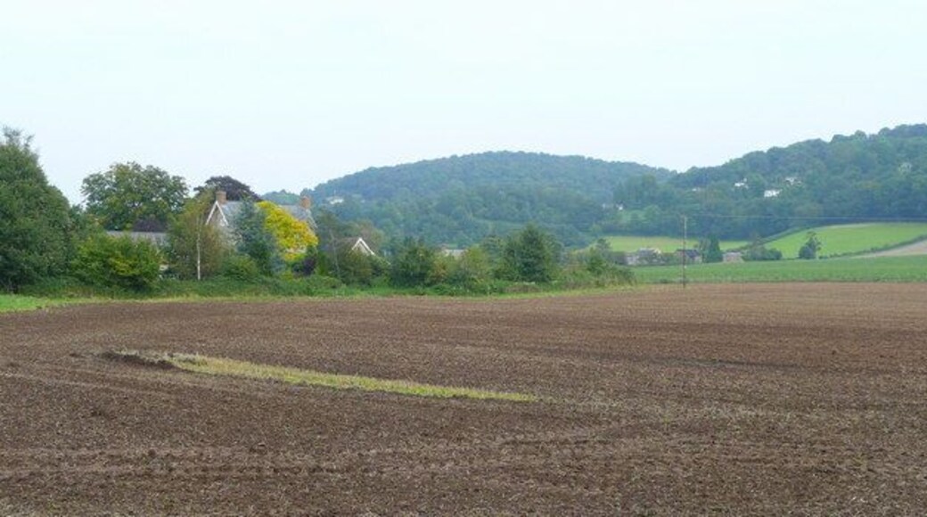 View to Howle Hill Looking east across ploughed land from opposite the war memorial at Walford.