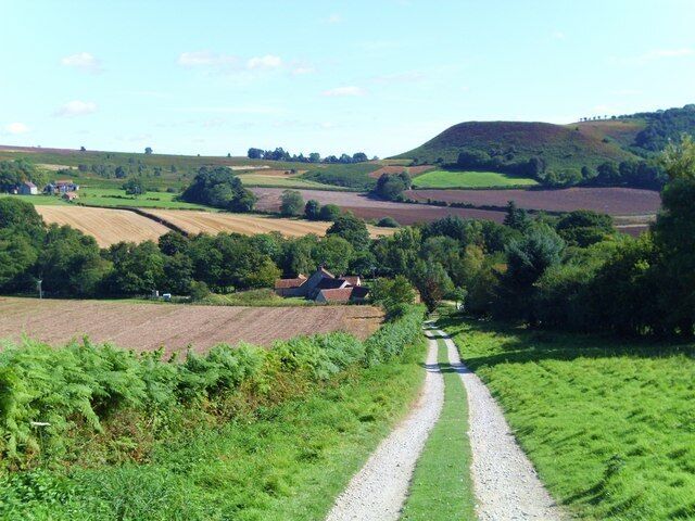 Track to Lowna Mill Track and prow leading into the dale bottom at Lowna Mill. Beyond is the prominent small hill of Shepherd's Nab.