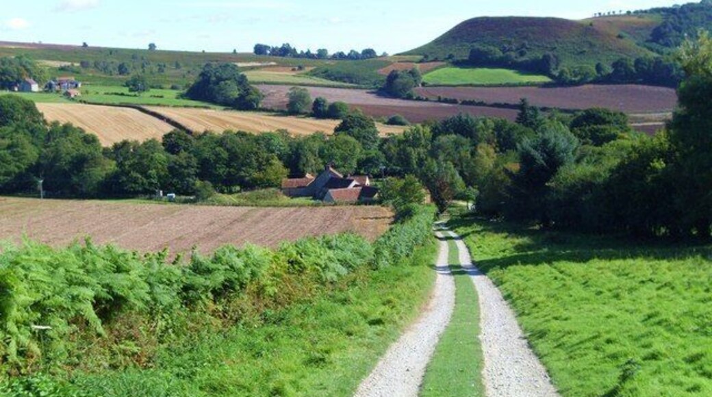 Track to Lowna Mill Track and prow leading into the dale bottom at Lowna Mill. Beyond is the prominent small hill of Shepherd's Nab.