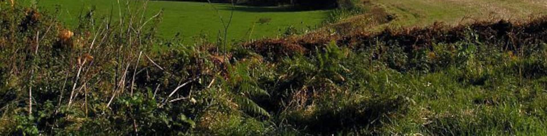Douthwaite Dale view. Looking SE from the road between Lowna and Gillamoor. The hills are part of the limestone escarpment which runs along the Southern border of the North Yorkshire moors. The river Dove leaves Farndale and forces its way through the limestone via Douthwaite Dale here.