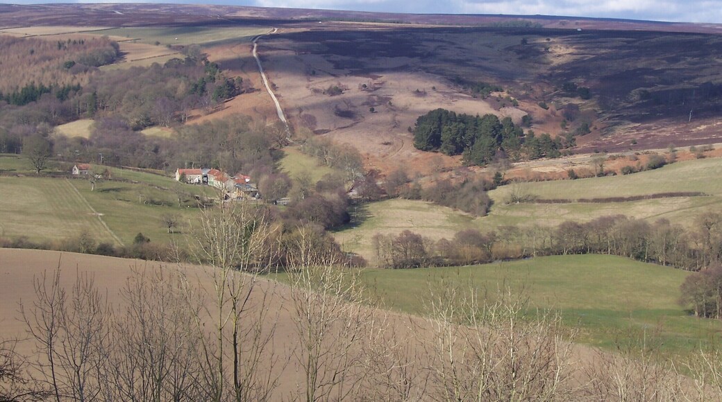 View from Gillamoor Church