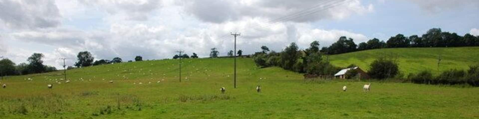 Farmland on the eastern slopes of Brailes Hill