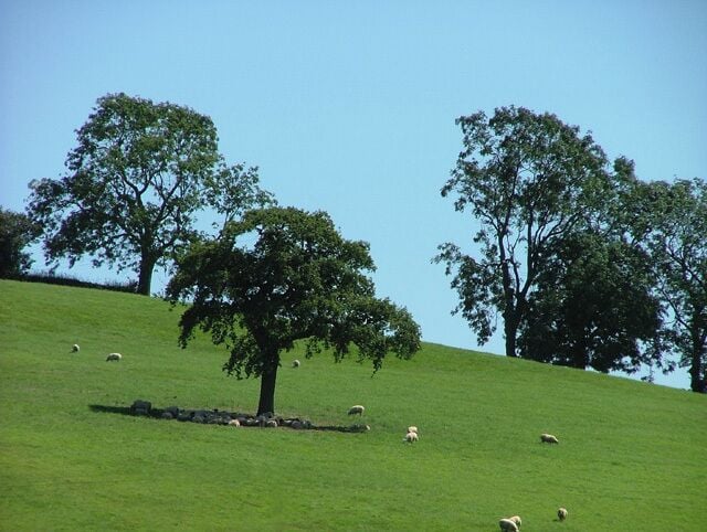 Hollaway Hill. Looking south from B4035