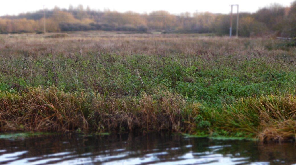 Mountsorrel Meadows is a nature reserve on the eastern outskirts of Mountsorrel in Leicestershire. It is managed by the Leicestershire and Rutland Wildlife Trust.