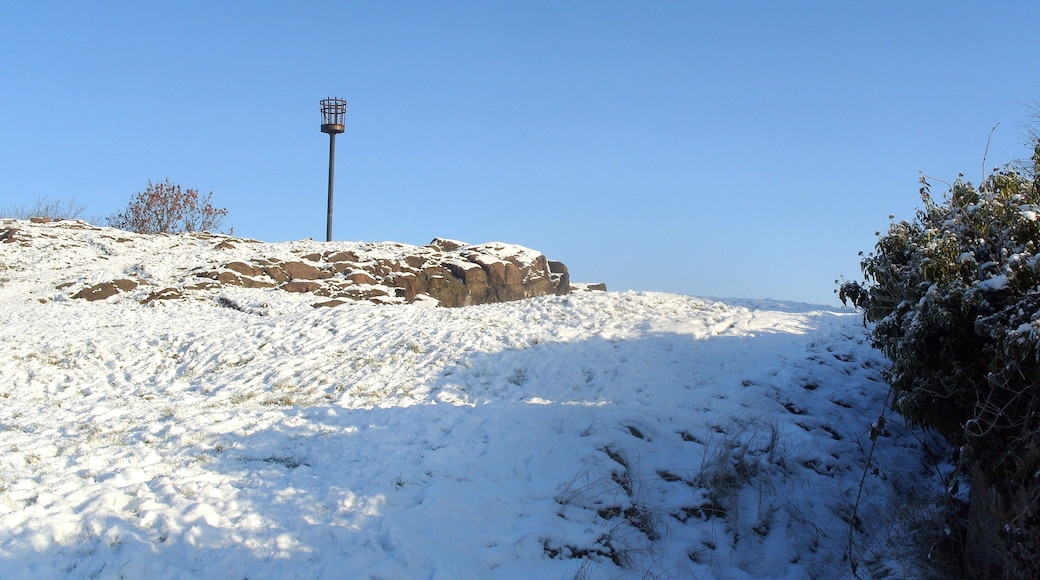 Mountsorrel motte and bailey castle Wikidata has entry Q17649693 with data related to this monument.