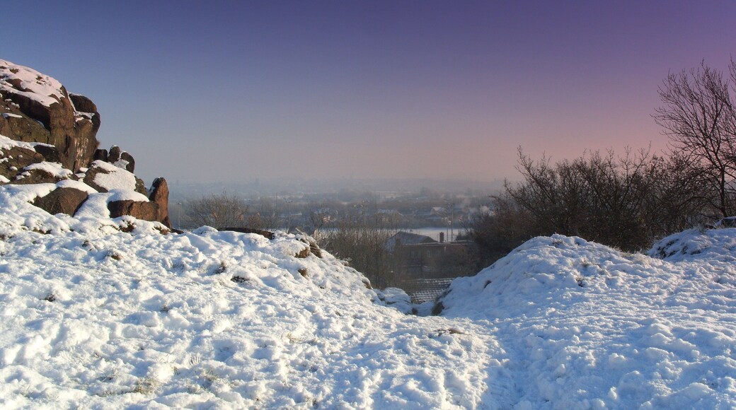 Mountsorrel motte and bailey castle Wikidata has entry Q17649693 with data related to this monument.