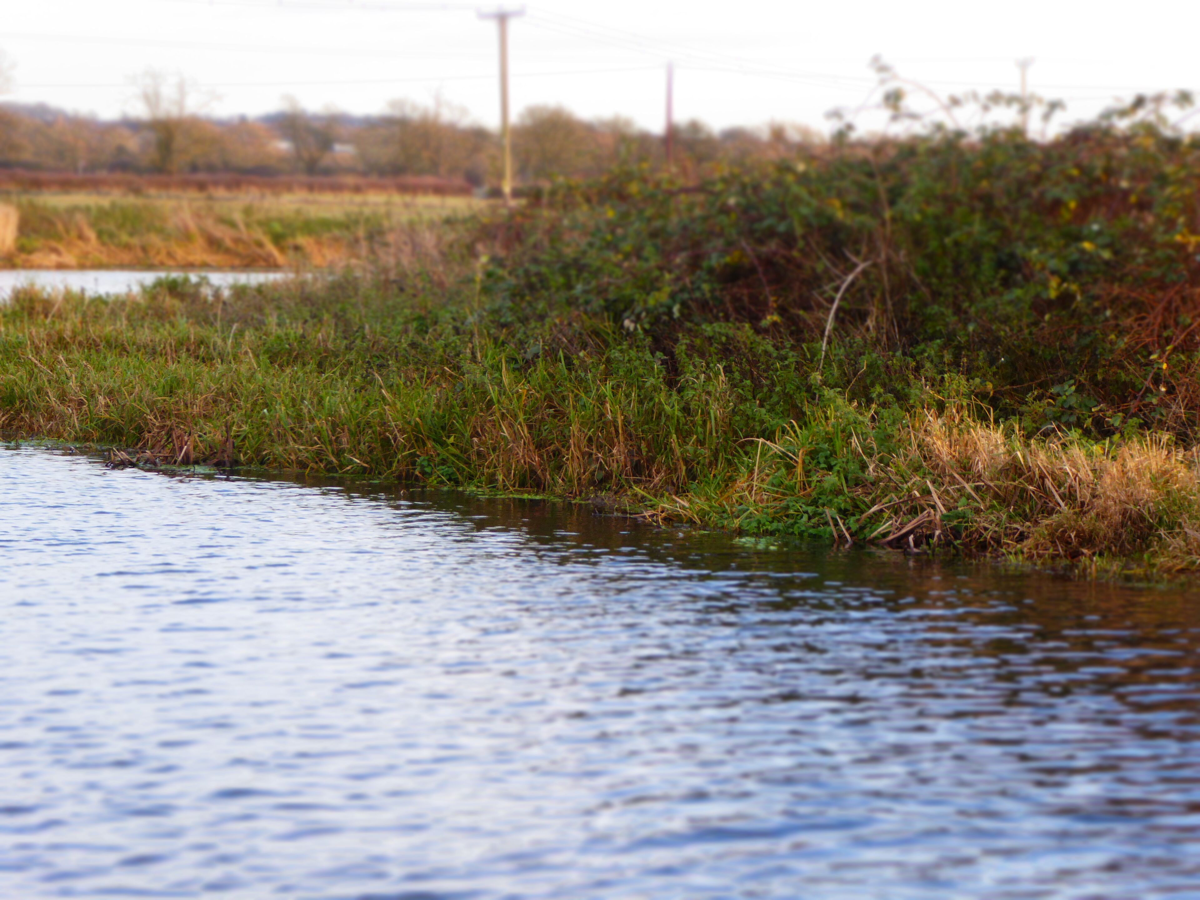 Mountsorrel Meadows is a nature reserve on the eastern outskirts of Mountsorrel in Leicestershire. It is managed by the Leicestershire and Rutland Wildlife Trust.