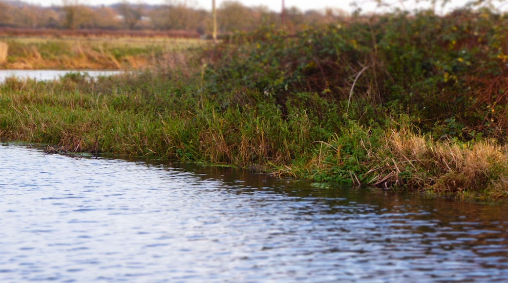 Mountsorrel Meadows is a nature reserve on the eastern outskirts of Mountsorrel in Leicestershire. It is managed by the Leicestershire and Rutland Wildlife Trust.