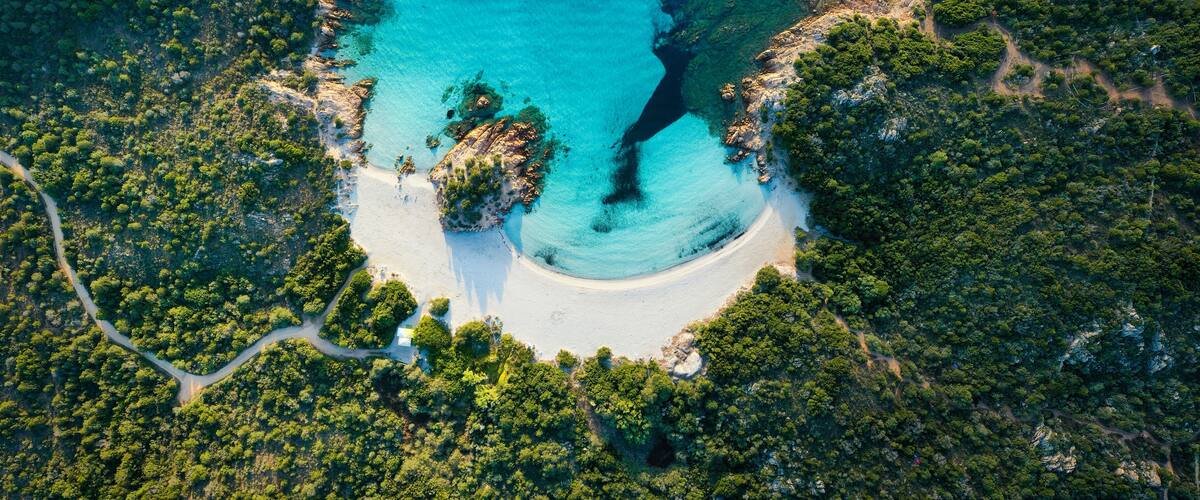 An aerial view of a secluded beach surrounded by dense forest, with clear turquoise waters and a winding road leading to the shore.