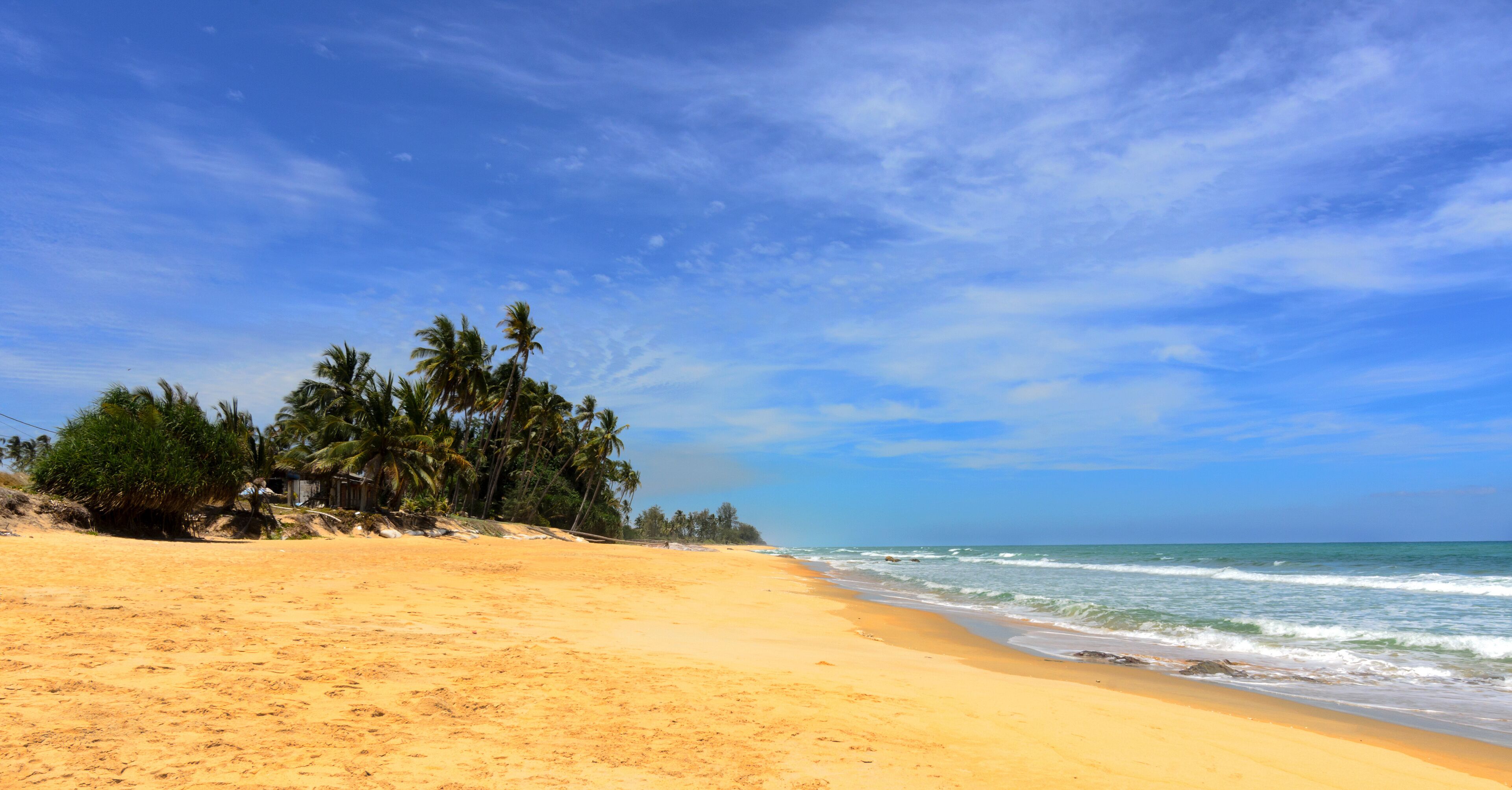 A sandy beach with palm trees and the ocean under a clear sky.