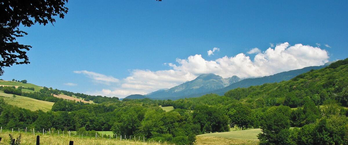 A rural landscape with a fence, green fields, and mountains in the background.