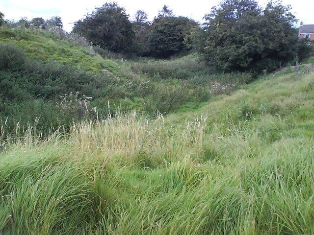 A grassy hillside with dense vegetation and trees in the background.