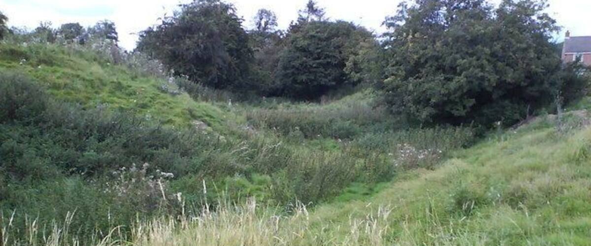 A grassy hillside with dense vegetation and trees in the background.
