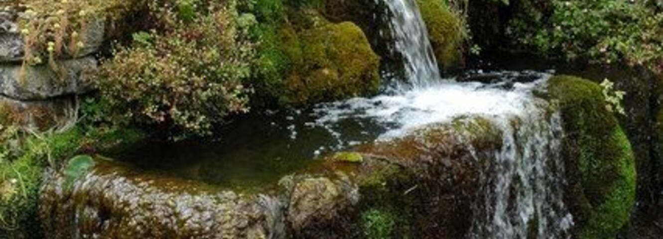 Drinking trough, Compton Abdale Old stone drinking trough fed from a pipe with crocodile jaws.