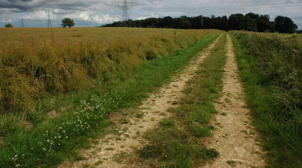 Track and bridleway near Compton Abdale This track is used as a bridleway linking Comnpton Abdale with Yanworth.