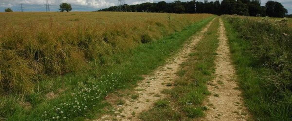 A dirt path through a field with a cloudy sky.