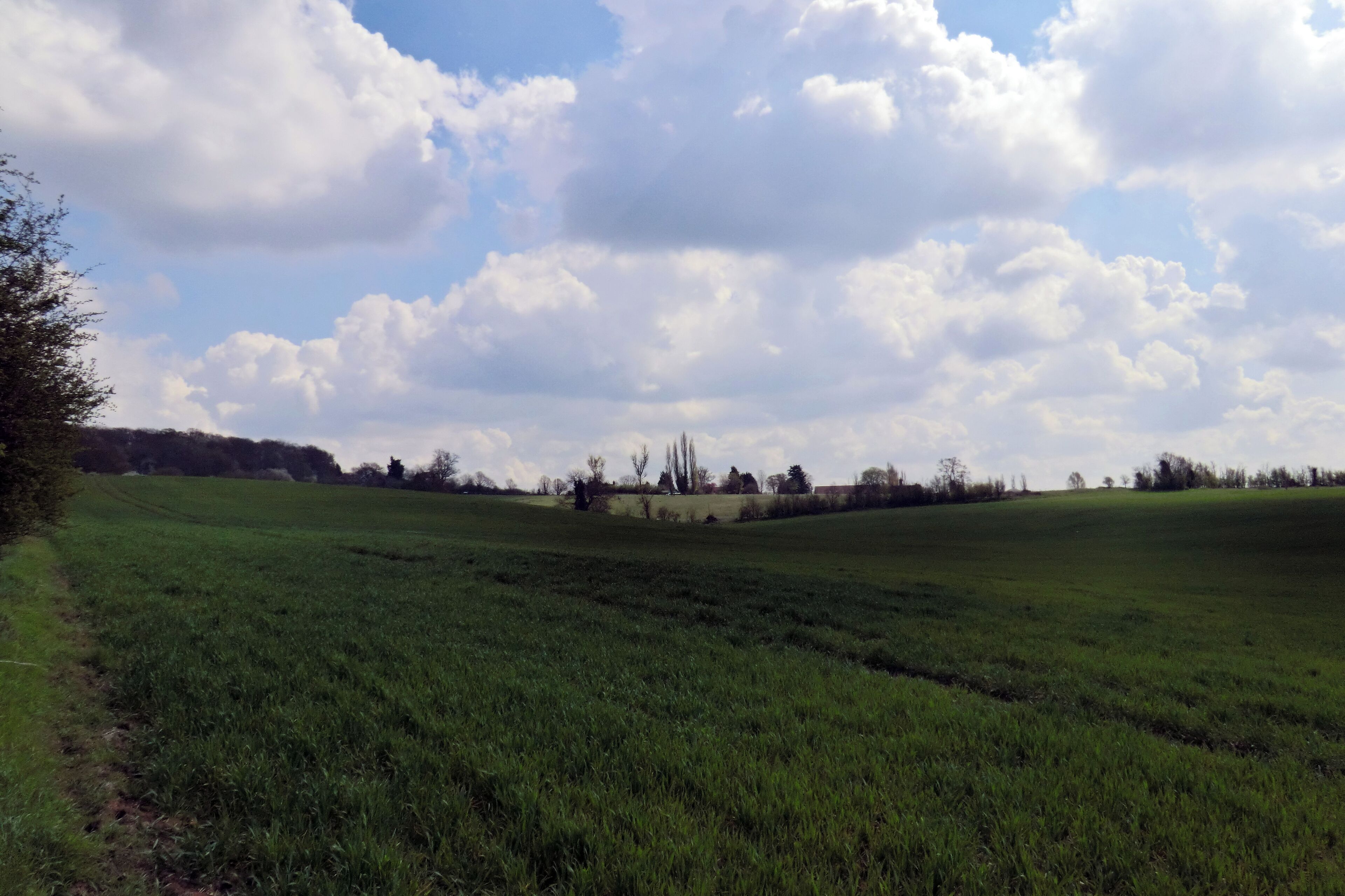 A green field with a path on the left and a line of trees in the distance under a partly cloudy sky.