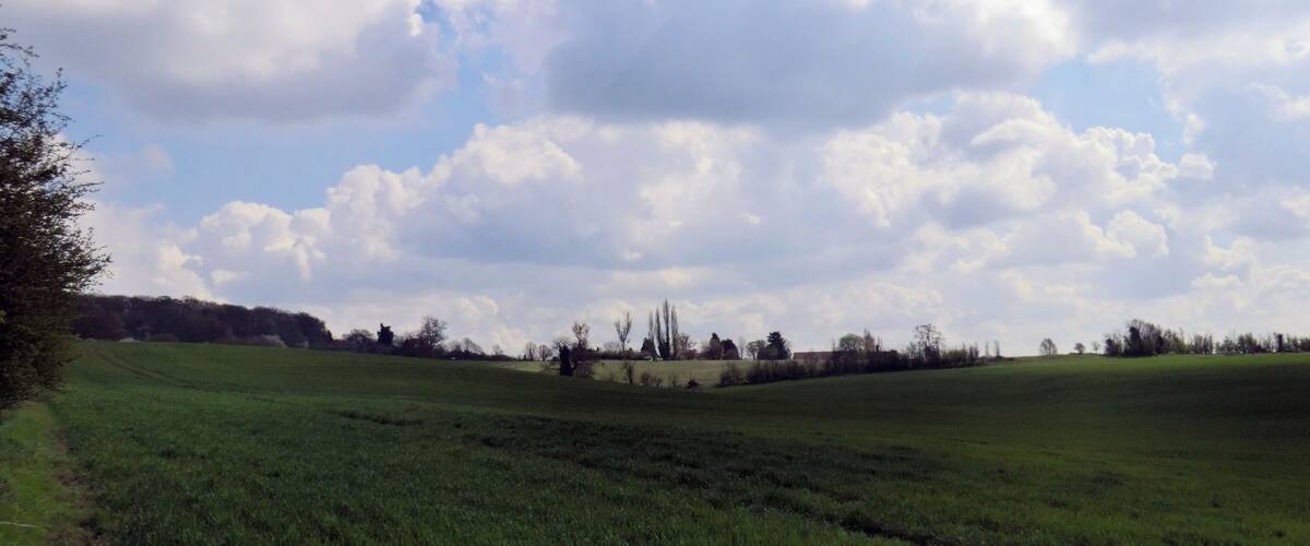 A green field with a path on the left and a line of trees in the distance under a partly cloudy sky.