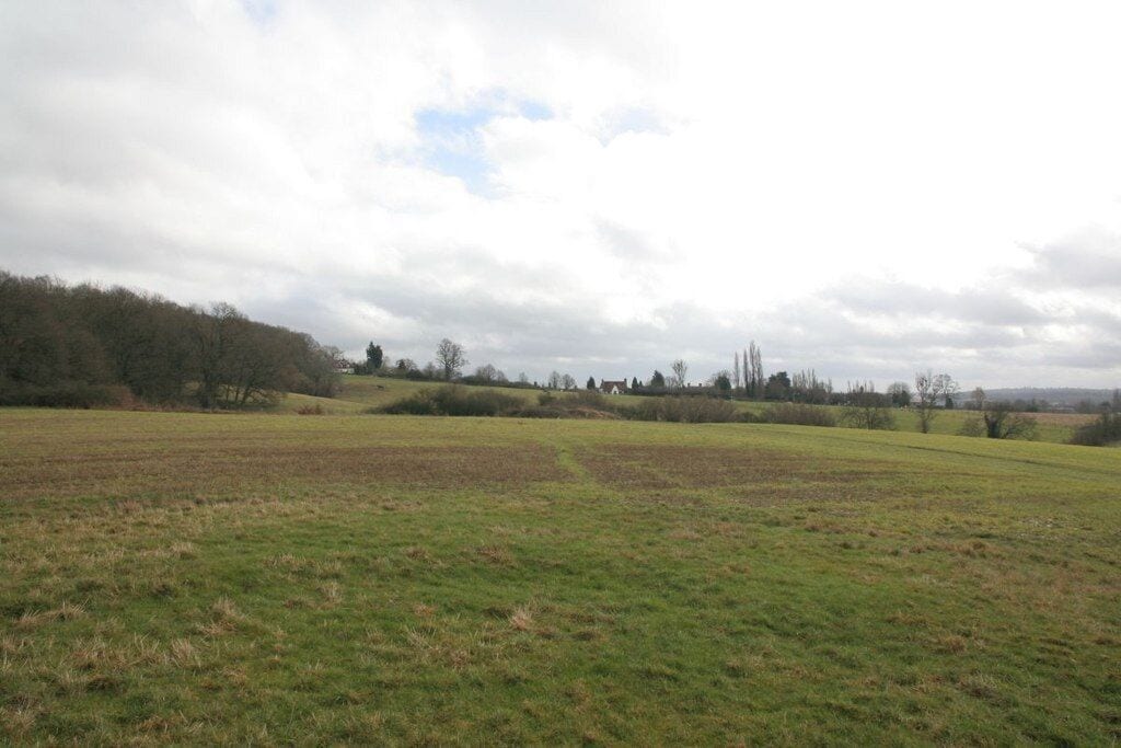 A rural landscape with rolling hills, fields, and scattered trees.