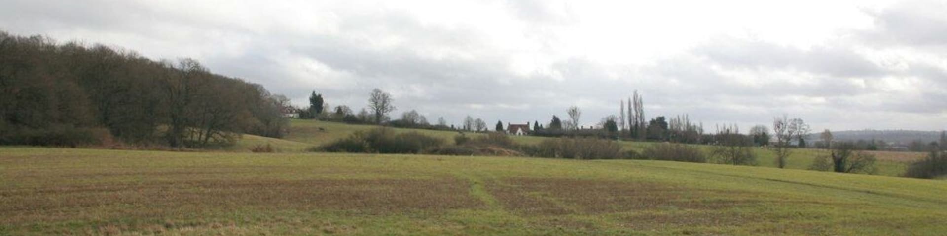 A rural landscape with rolling hills, fields, and scattered trees.