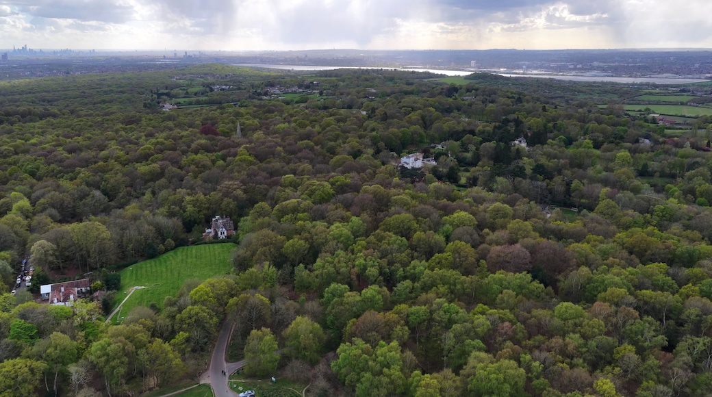 Üppige grüne Landschaft mit einem Fluss, einer fernen Stadtansicht und einem markanten weißen Haus, das von Bäumen umgeben ist.