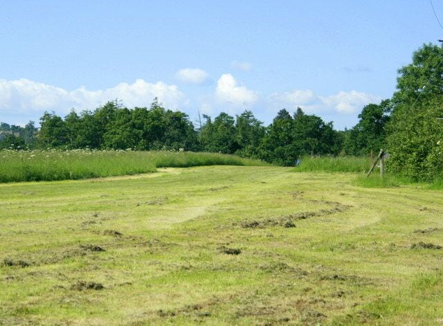 Pasture near Lower Wraxall As the field is only partly cut and there is no grass left on the ground to dry one can safely assume it was taken for silage.