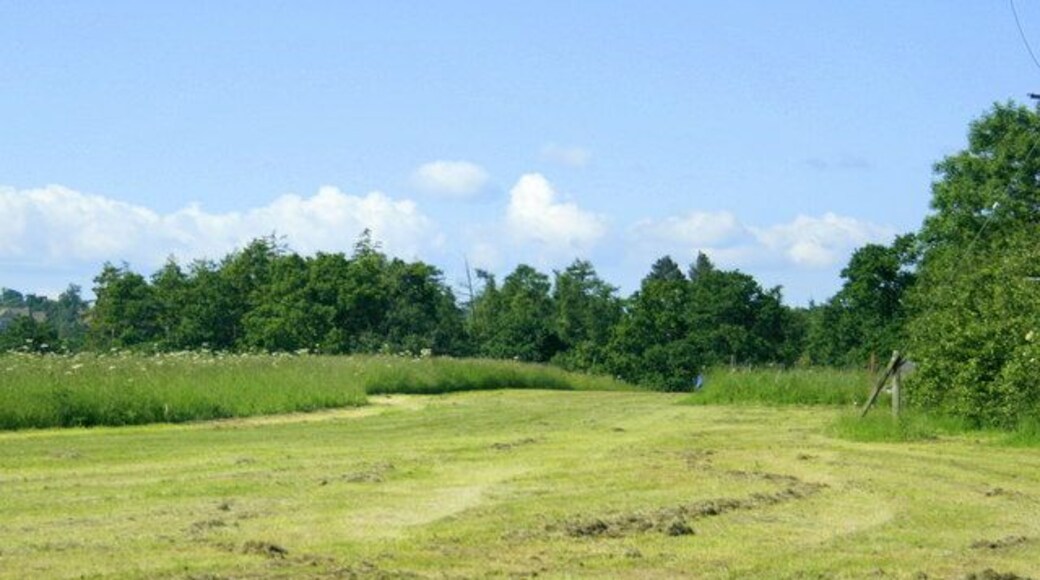 Pasture near Lower Wraxall As the field is only partly cut and there is no grass left on the ground to dry one can safely assume it was taken for silage.