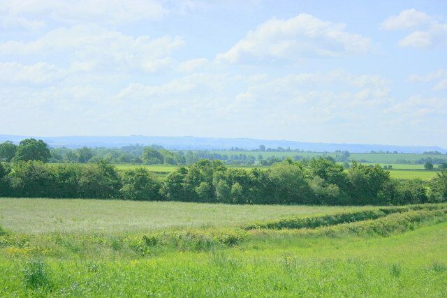 View from Cat's Hill Looking south east. The B3109 is behind the near hedge. The Salisbury Plain escarpment can been seen on the skyline, the Westbury White Horse is there as well but not visible in these conditions.