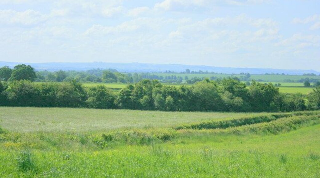 View from Cat's Hill Looking south east. The B3109 is behind the near hedge. The Salisbury Plain escarpment can been seen on the skyline, the Westbury White Horse is there as well but not visible in these conditions.
