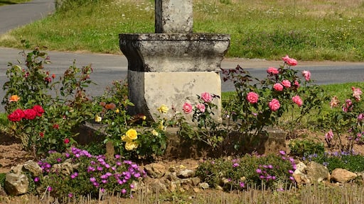Wayside cross (Croix Boutelant), near road D 36, Savigné, Vienne, France.