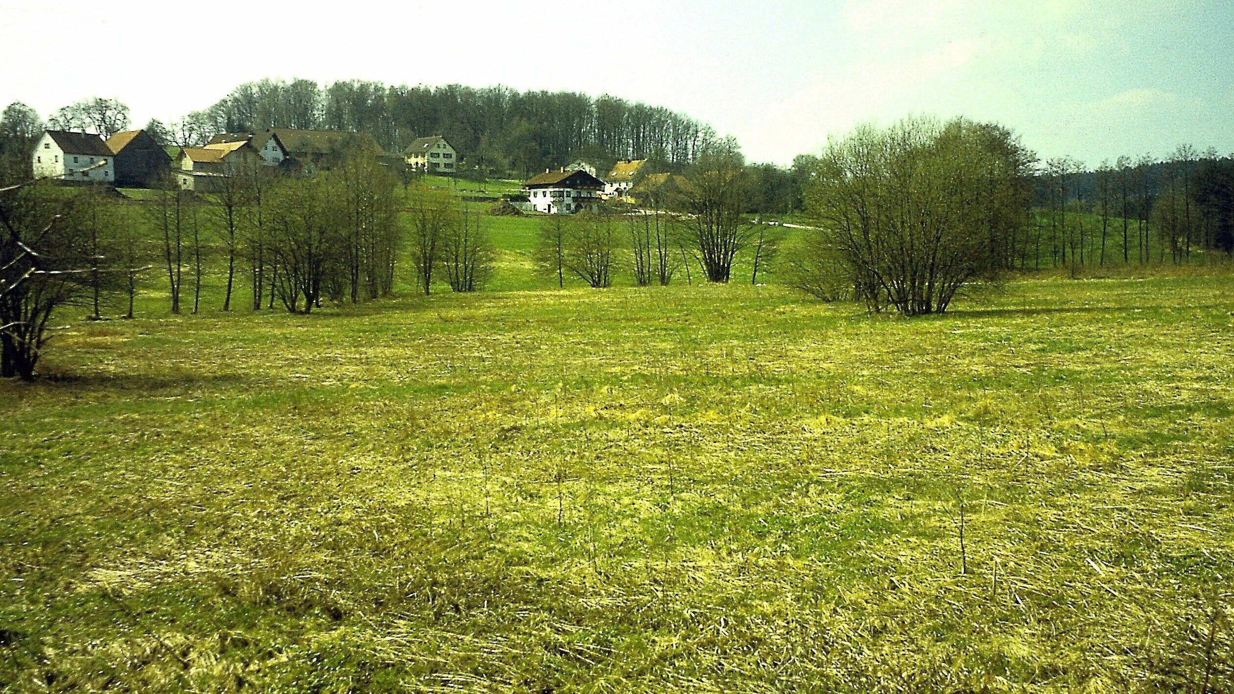 Langenelz, Gemeinde Mudau: oberes Elztal in Ober-Langenelz, ca. 440 m ü. NN, Blick nach Südwesten, Talanstieg nach rechts (Westen); April 1997