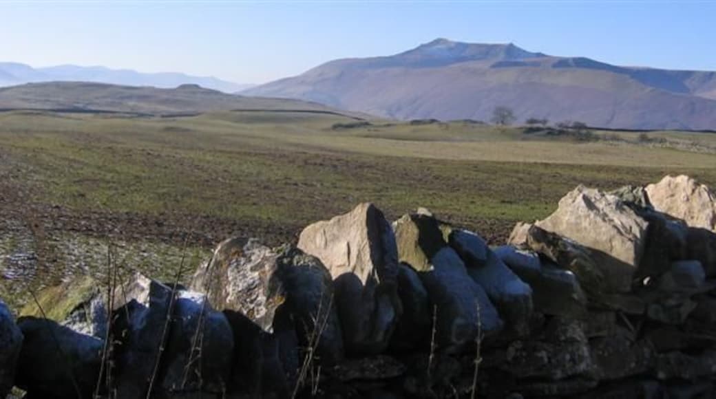 Field full of farm yard manure. The smell does not matter when the view is like this with Blencathra in the distance also known as saddleback and Eycott Hill in the middle left distance.