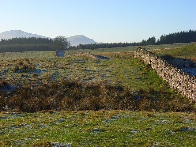 Pasture and forest, Berrier Hill This is just outside of the Lake District National Park. In the background are Great Dodd and Clough Head.