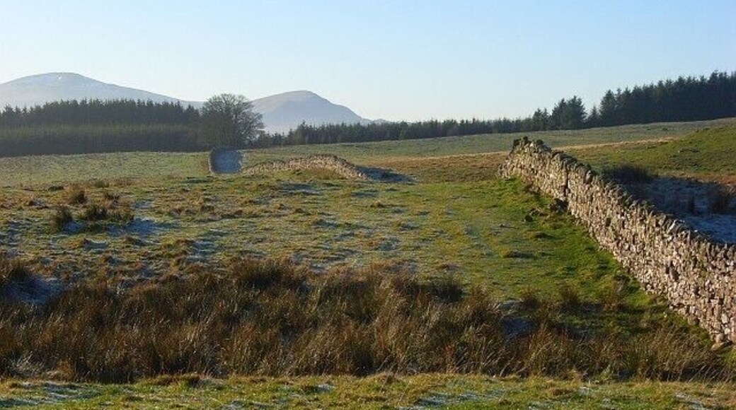 Pasture and forest, Berrier Hill This is just outside of the Lake District National Park. In the background are Great Dodd and Clough Head.