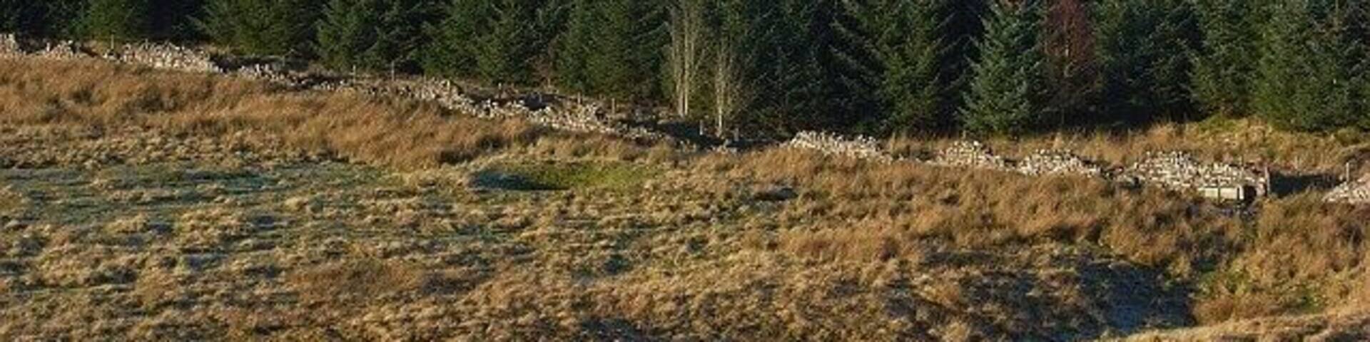 Greystoke Forest A view across the extensive forestry to Carrock Fell from Berrier Hill.