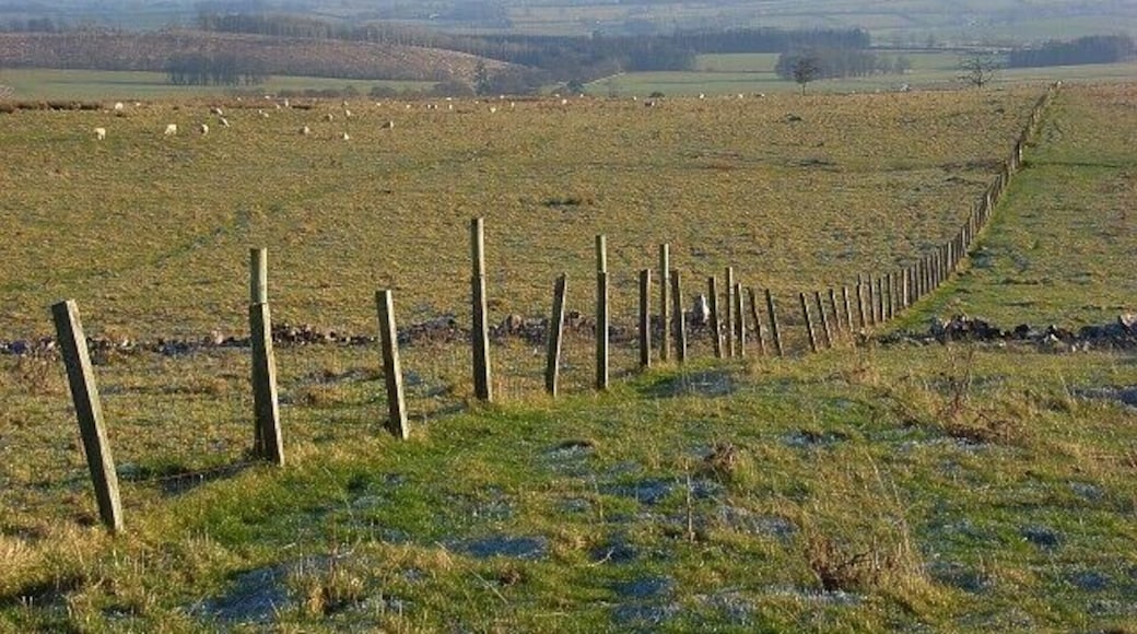 Pastures above Greystoke A view across the Petteril and Eden valleys to the highest of the Pennines. The scant remains of snow can just be made out on the tops of Cross Fell and the Dun Fells.