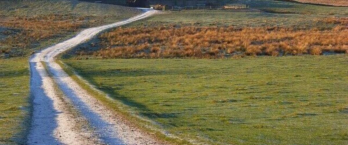 Track and barn, Berrier The land beyond the barns is the access land on Eycott Hill. Blencathra rises majestically to the right.