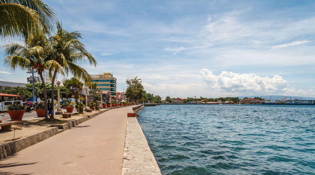 The promenade along Rizal Boulevard with palm trees and sea view, City of Dumaguete, Negros Oriental, Philippines