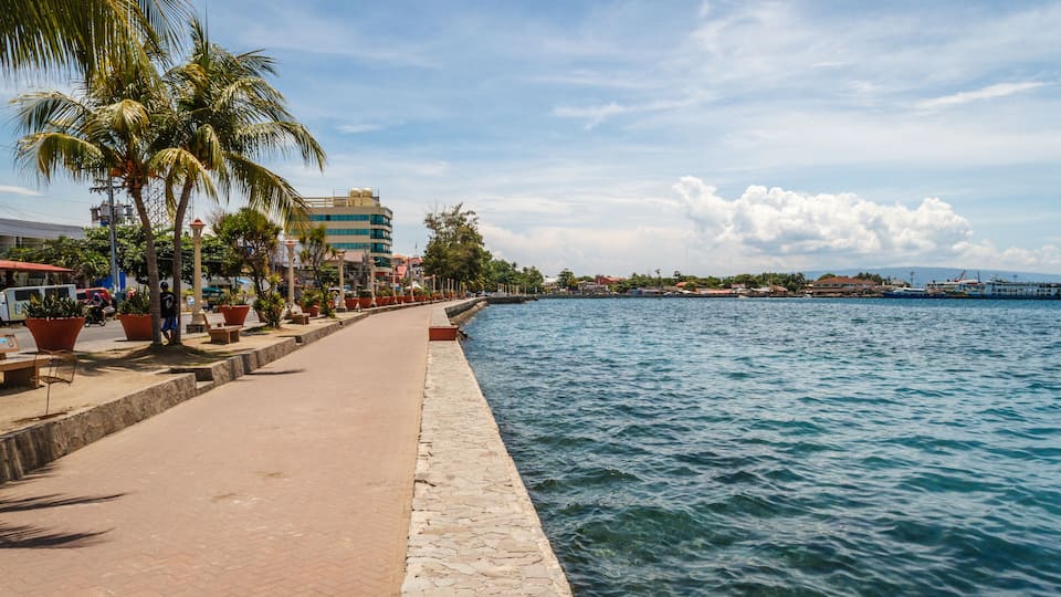 A waterfront promenade with palm trees, a stone walkway, and buildings in the background.