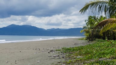 Views, Beaches and Landscapes of Apo Island and Camiguin Island, also Dumaguete, The Philippines.