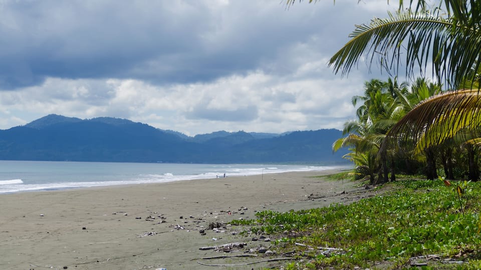 A beach with palm trees, a mountain range, and the ocean.