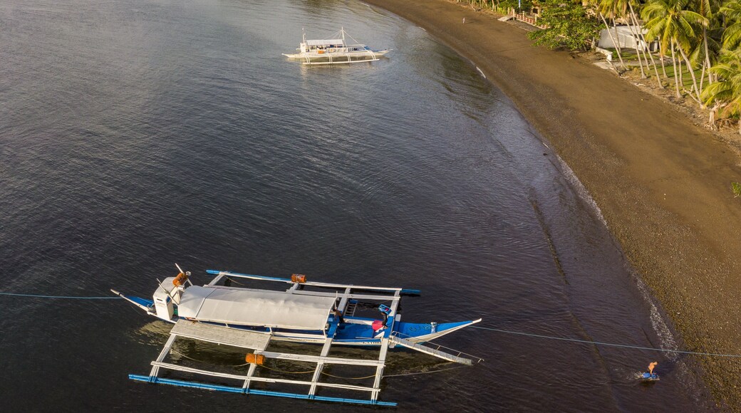 Aerial view of the dark sandy beach meeting the turquoise sea, with boats resting near the shore, Dauin, Negros Island Region, Philippines.