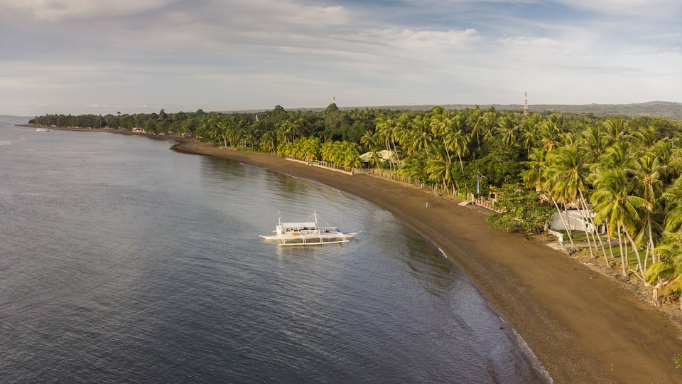 A coastal landscape with a beach, palm trees, and boats.