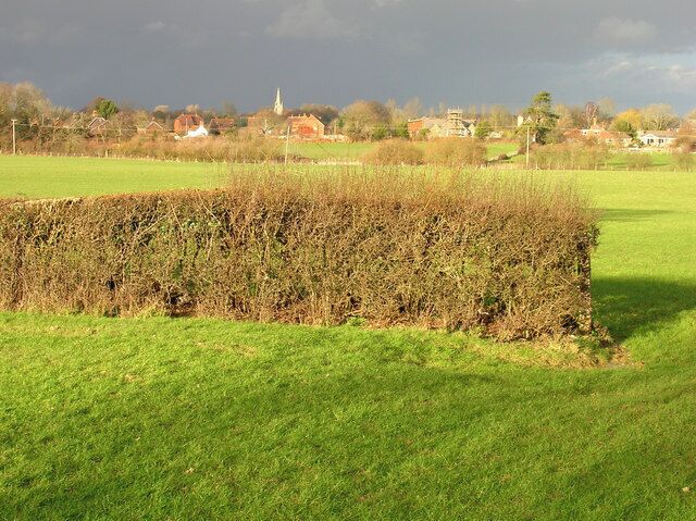 Threatening Skies over Muddles Green Sunshine in this grid square but heavy showers a few grid squares to the north. The buildings in the foreground are in Muddles Green, that with the scaffolding is this, 267457. The spire of Chiddingly church stands out amongst the grey clouds.